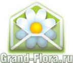 Логотип компании Доставка цветов Гранд Флора (ф-л г. Абинск)